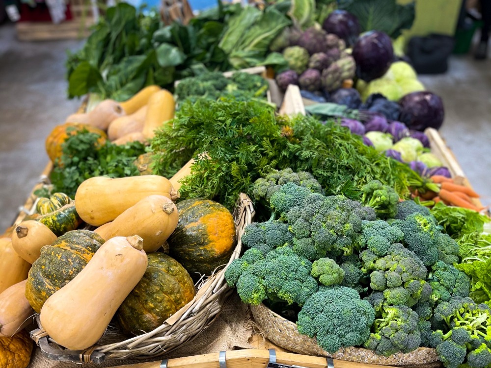 Légumes bio en maurienne